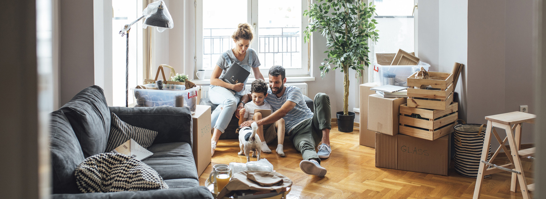 Atelier Toulousain de Protection à Toulouse, membre du réseau expert Vachette